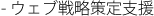 - ウェブ戦略策定支援